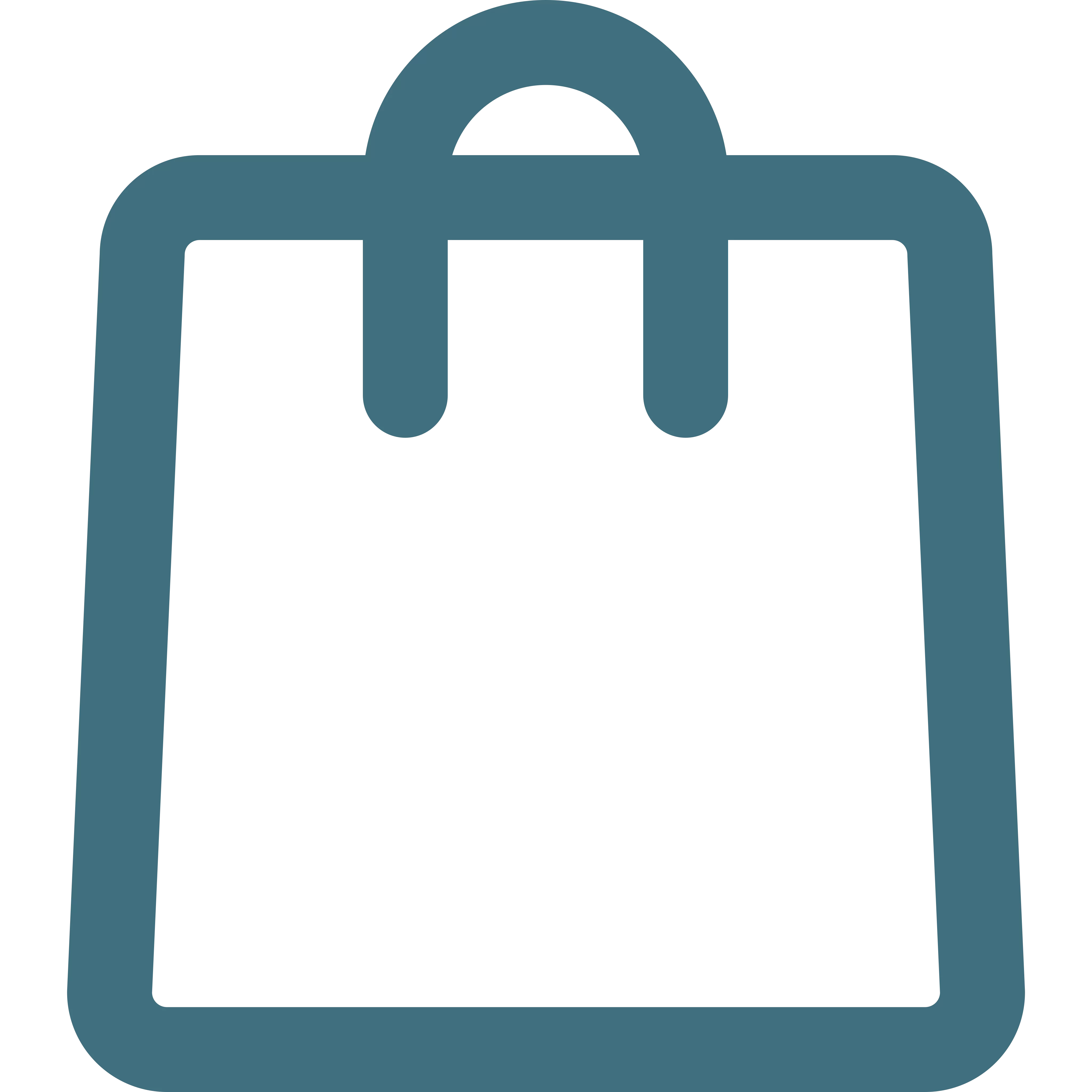 Shopping icon