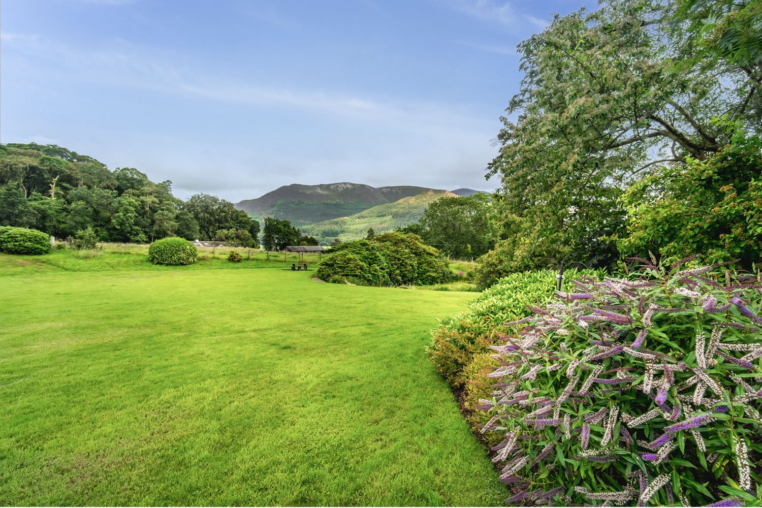 The garden is the perfect place for a game of rounders on a sunny day