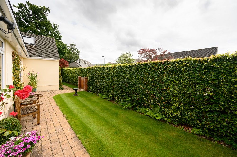 You can enjoy the warm weather in the delightful secluded garden