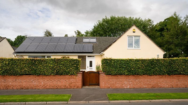 The garden has plenty of privacy