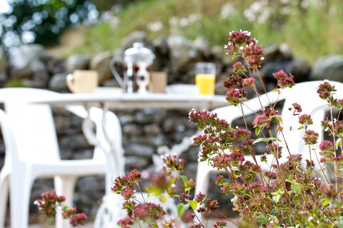 Guests can enjoy the sunny days out on the patio