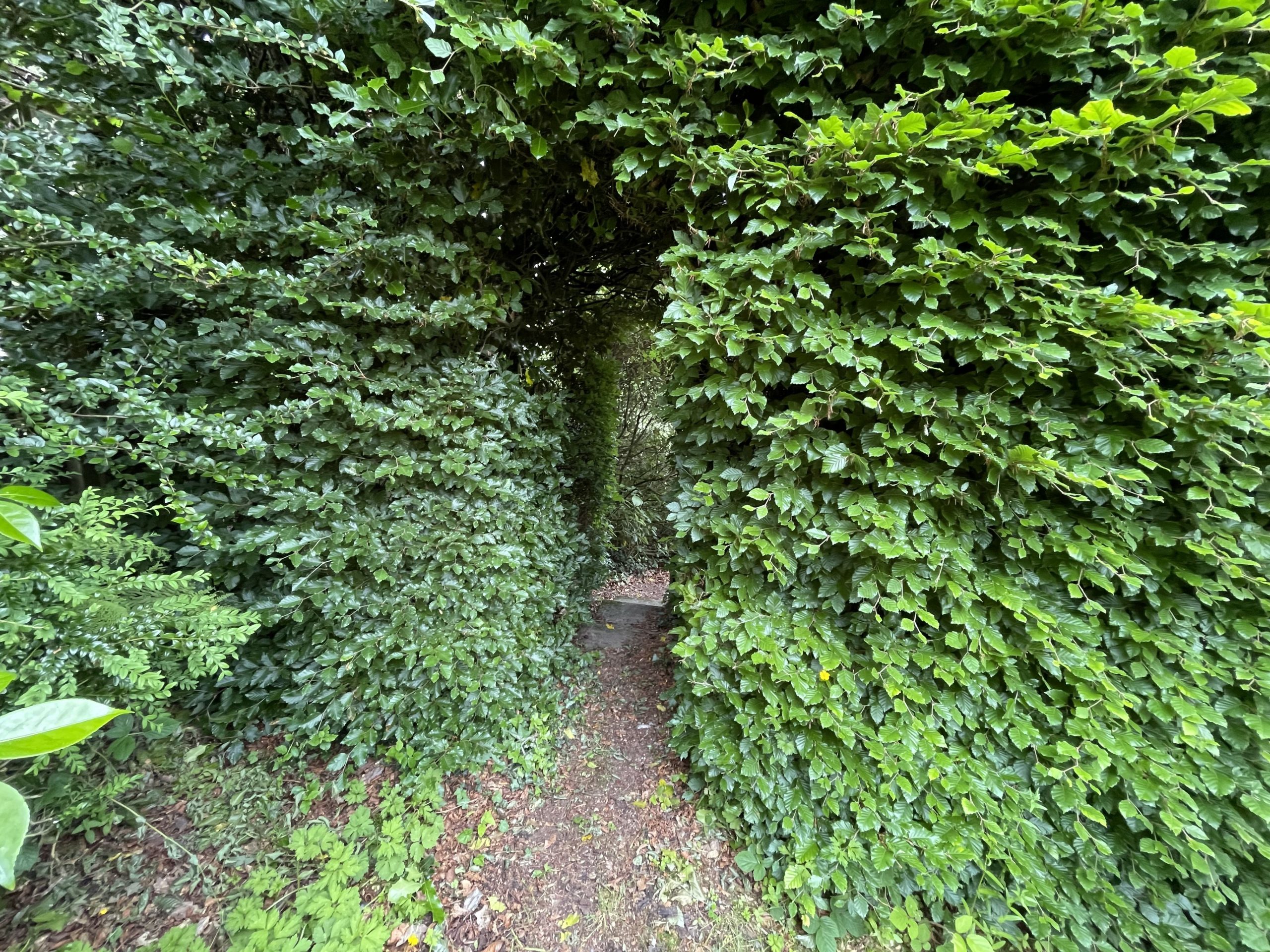 Access the secret garden through a nook in the hedgerow 