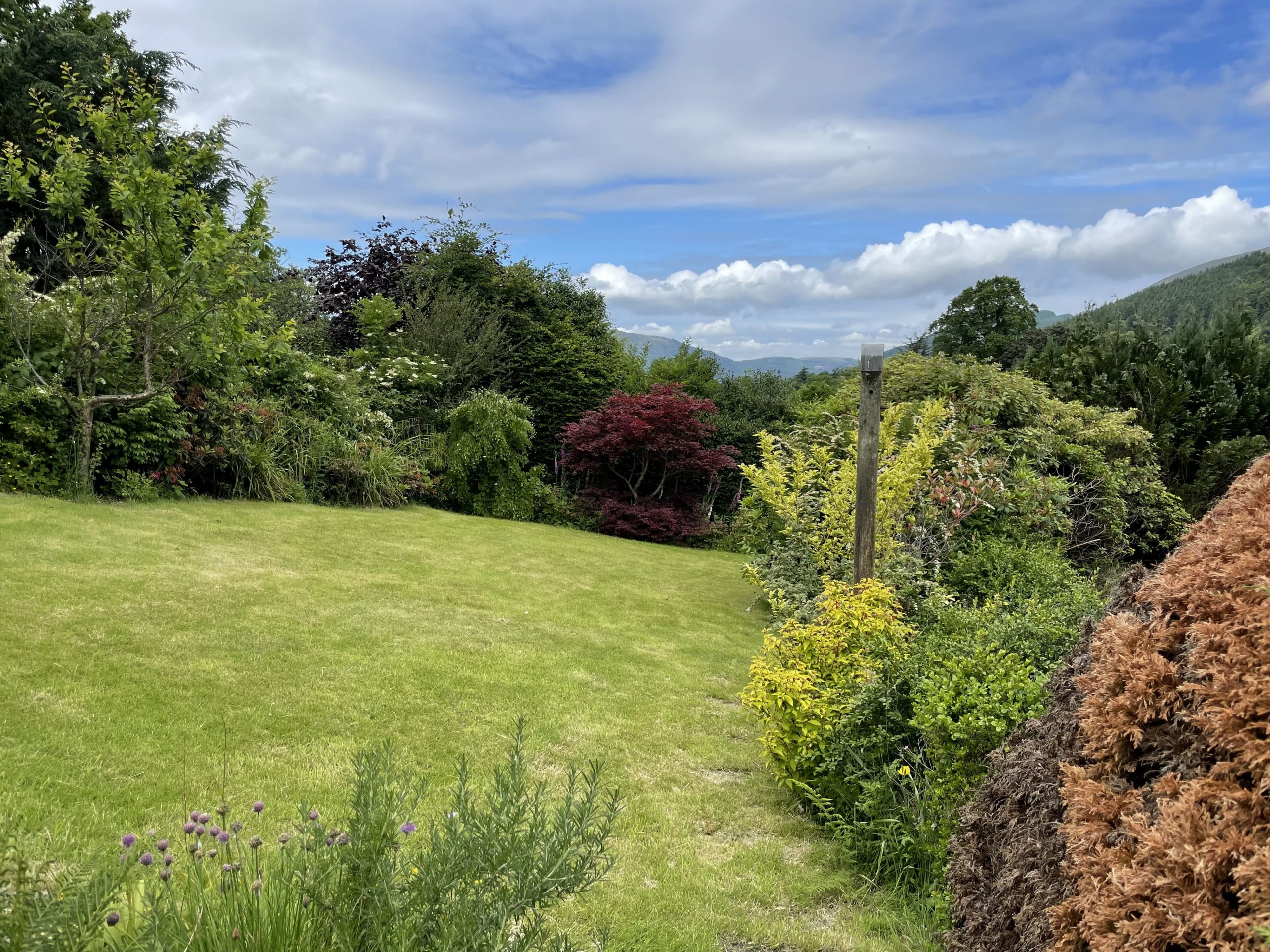 The garden is enclosed and features a lawn and patio