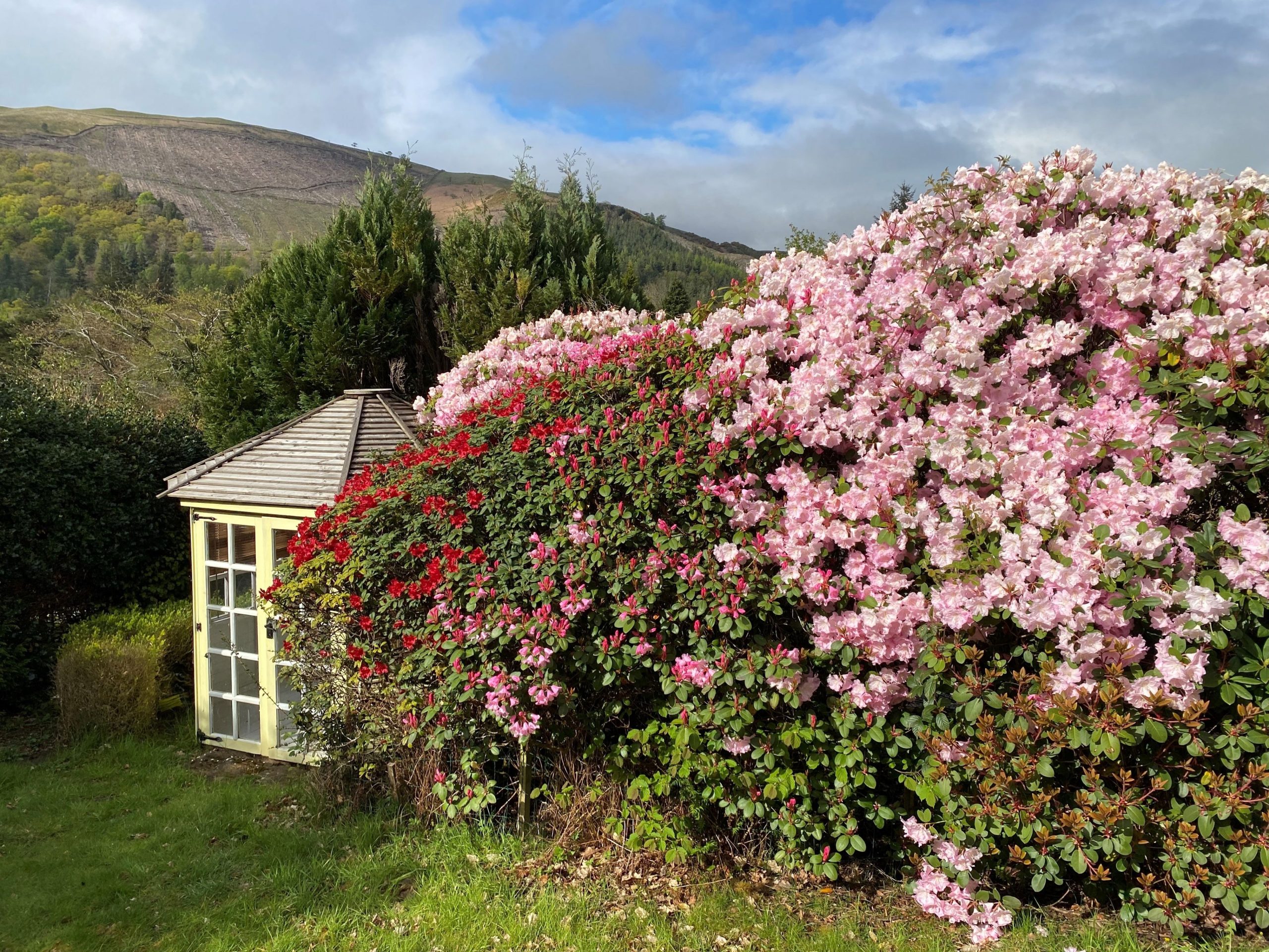 The private mature garden is a perfect spot to relax on a sunny day and has views across to Dodd and Walla Crag on the left