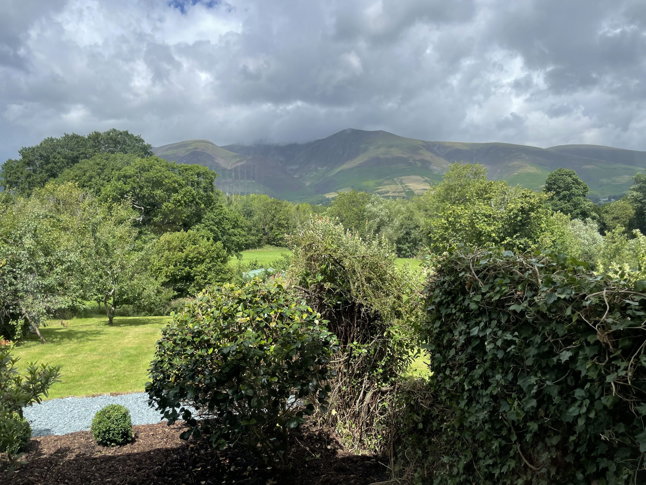 You will have plenty of birds to watch in the garden at Roslin