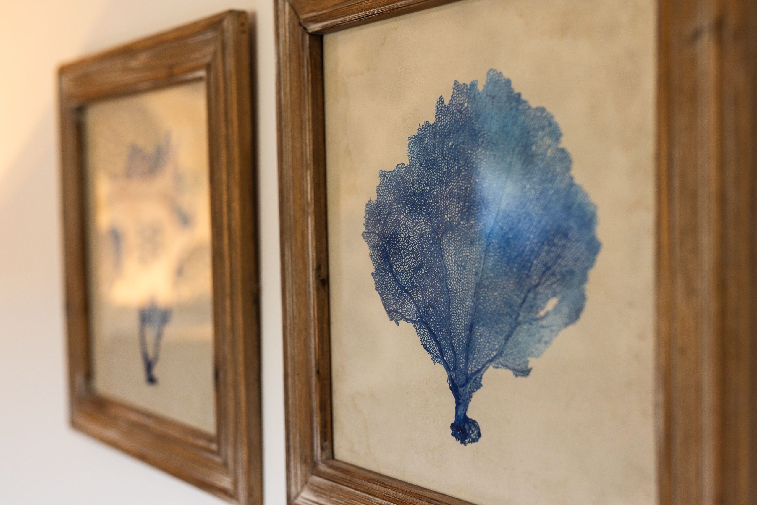 Lots of beautiful artwork throughout the property