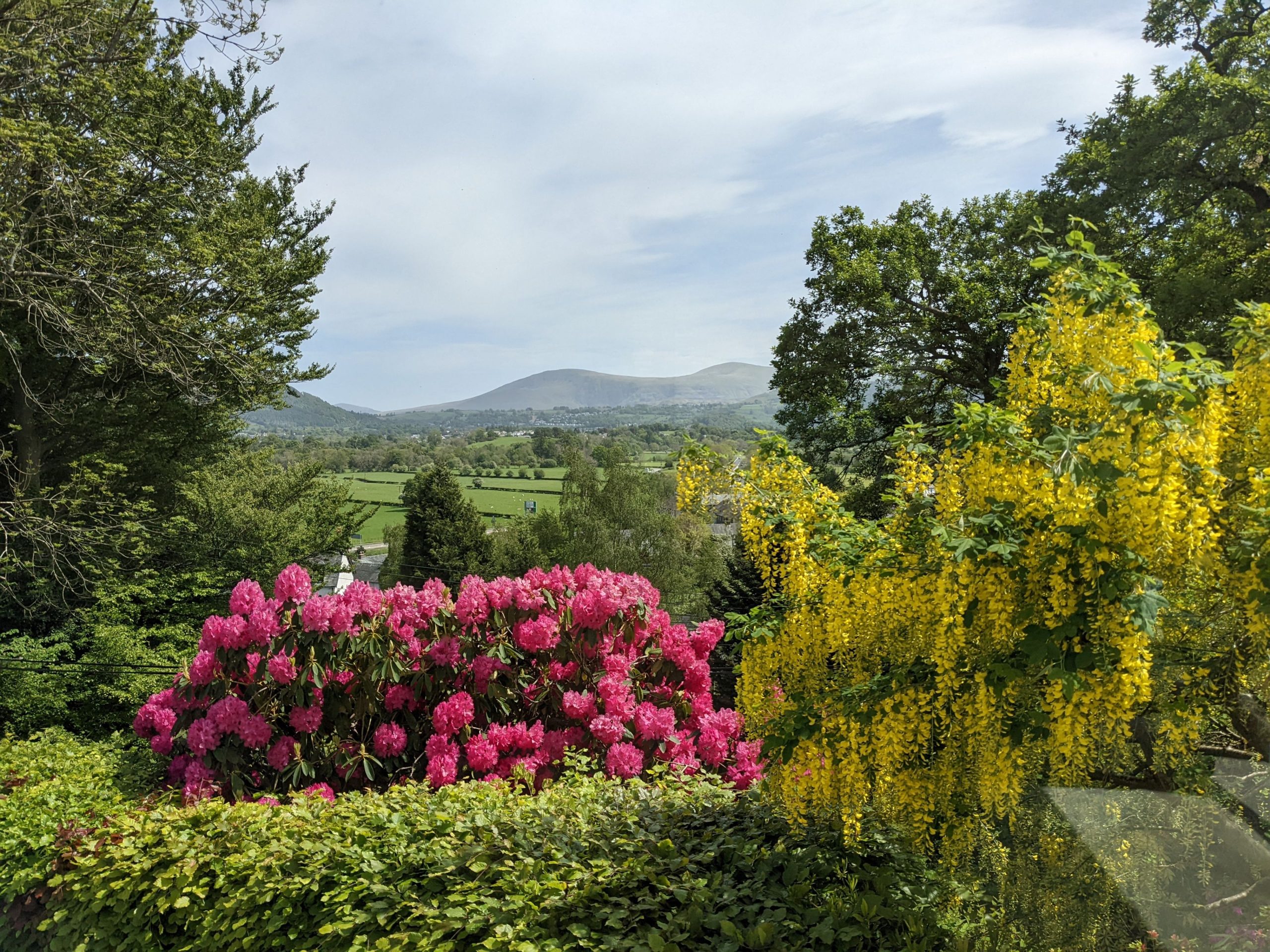 The garden is well maintained and attracts many small birds