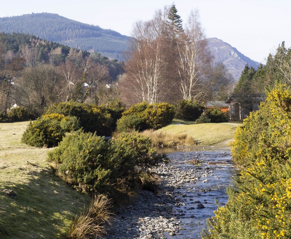 Views towards Whinlatter Forest and Barf