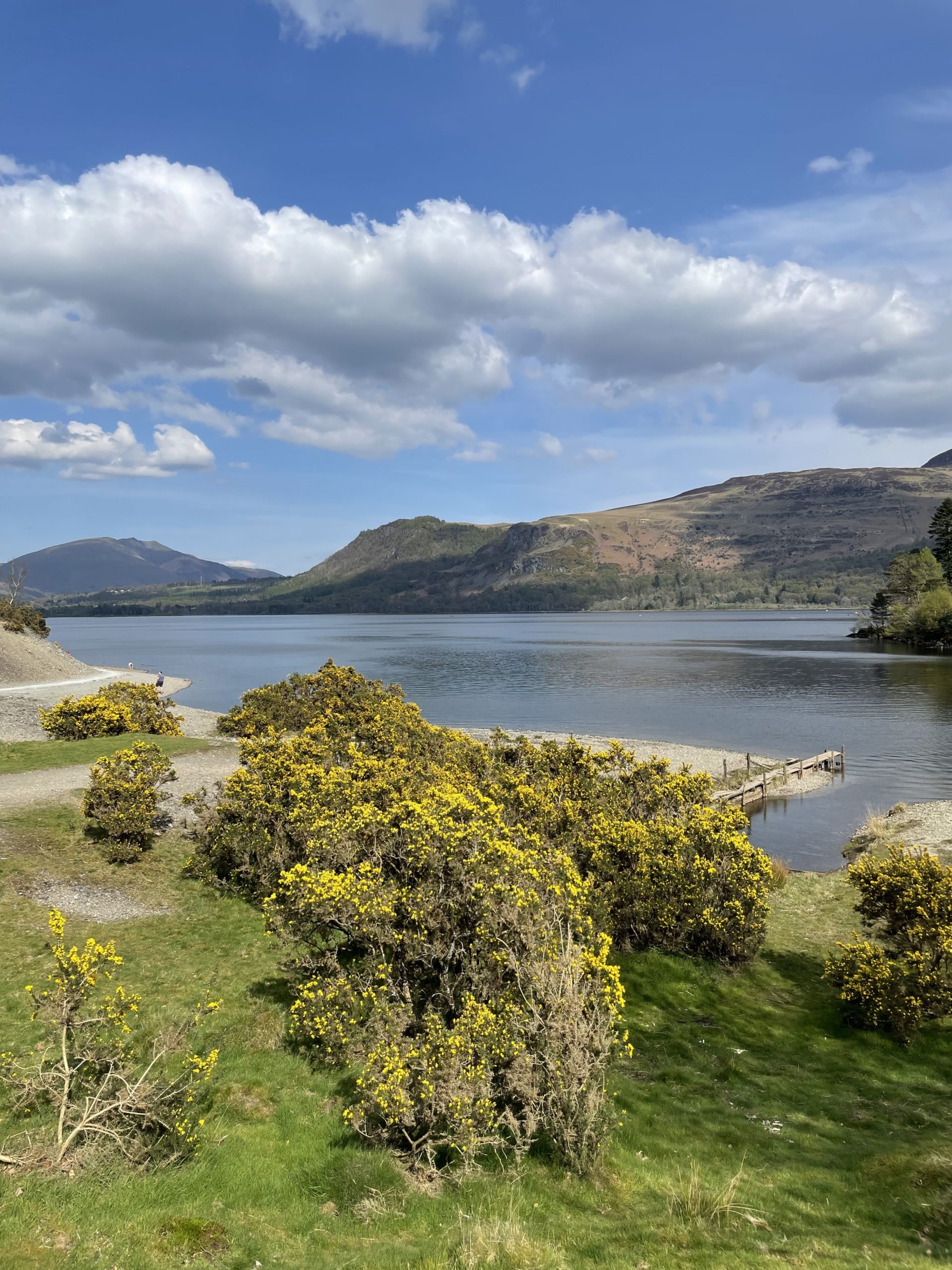 A lovely sunny day at Brandelhow