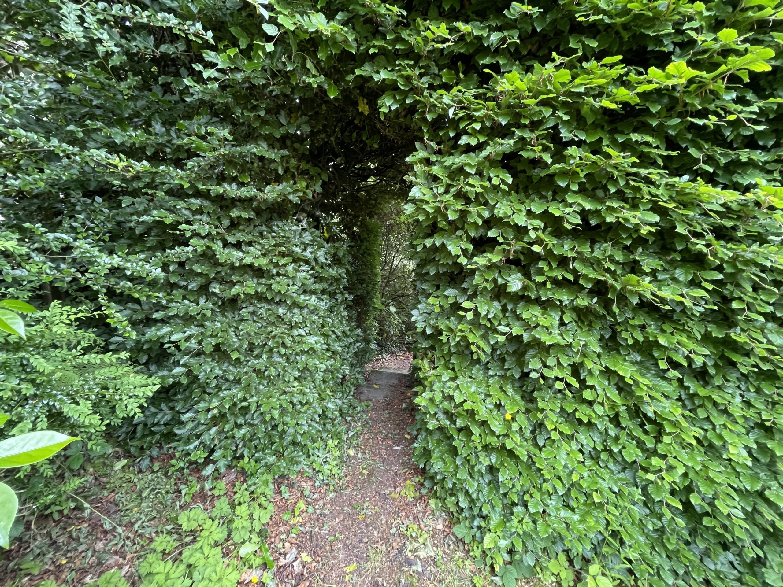Access the secret garden through a nook in the hedgerow 
