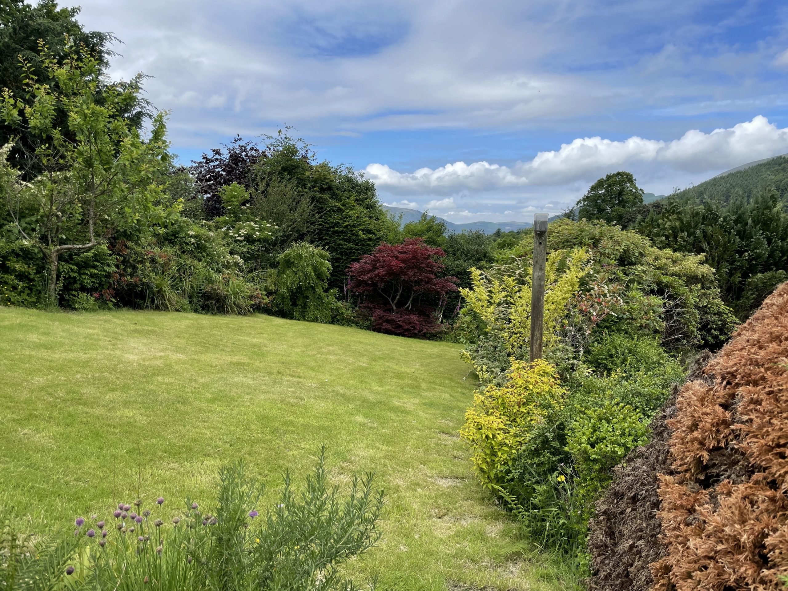 The garden is enclosed and features a lawn and patio